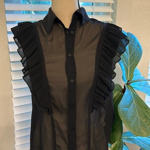 Zara Sheer Ruffle Top - Picture 3 of 5